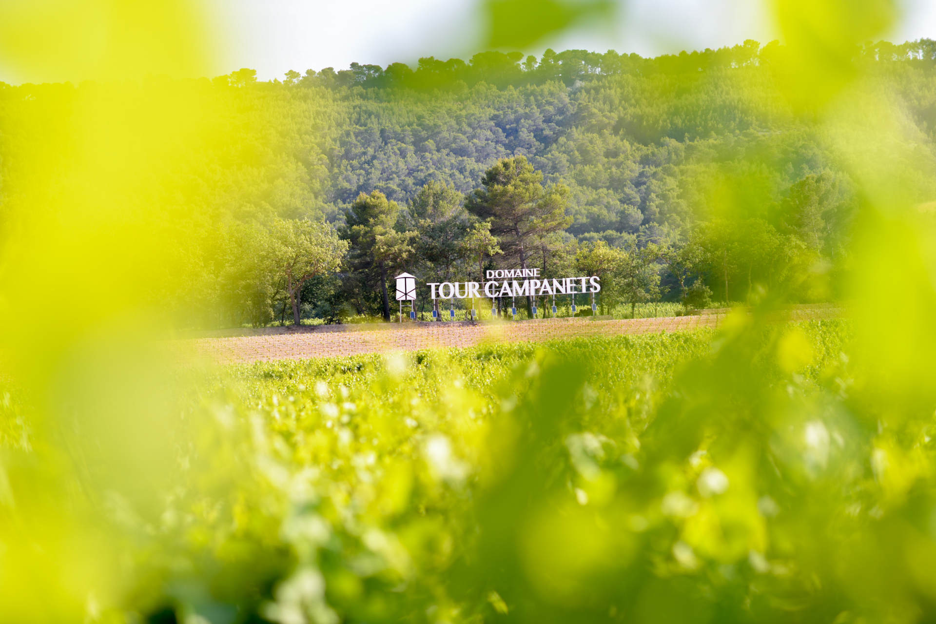 Domaine Tour Campanets