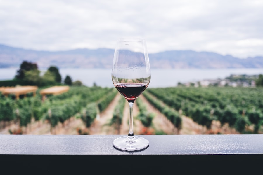 Domaine Turenne