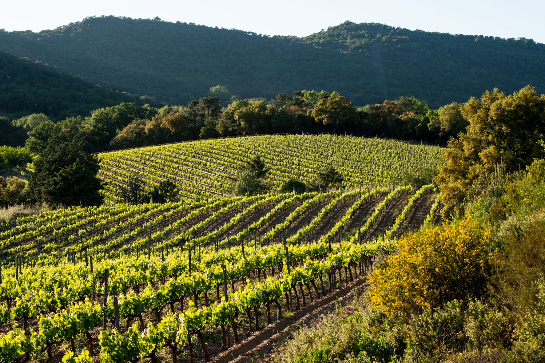 Domaine Val d'Astier