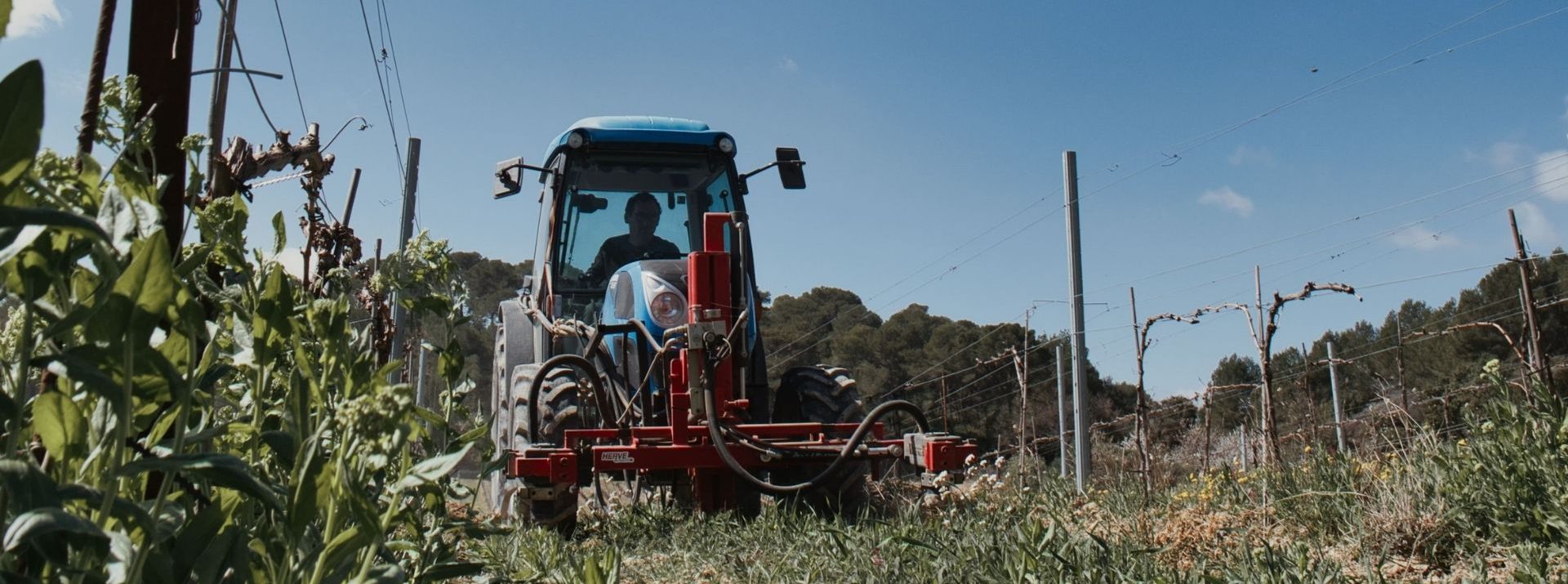 Domaine Val de Caire