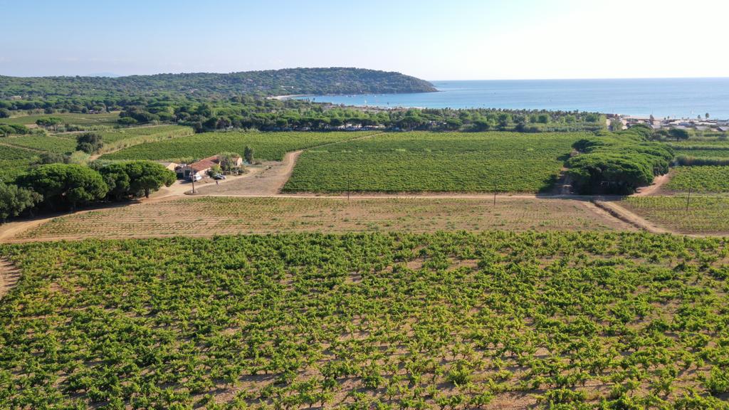 Ea Chateau Pampelonne Lauvige