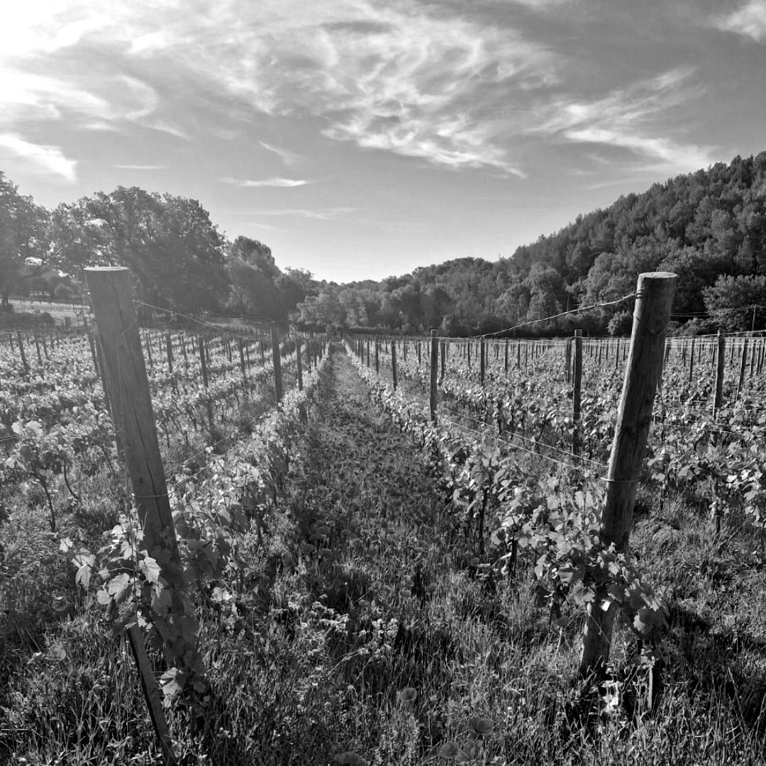 Le Clos Coquet