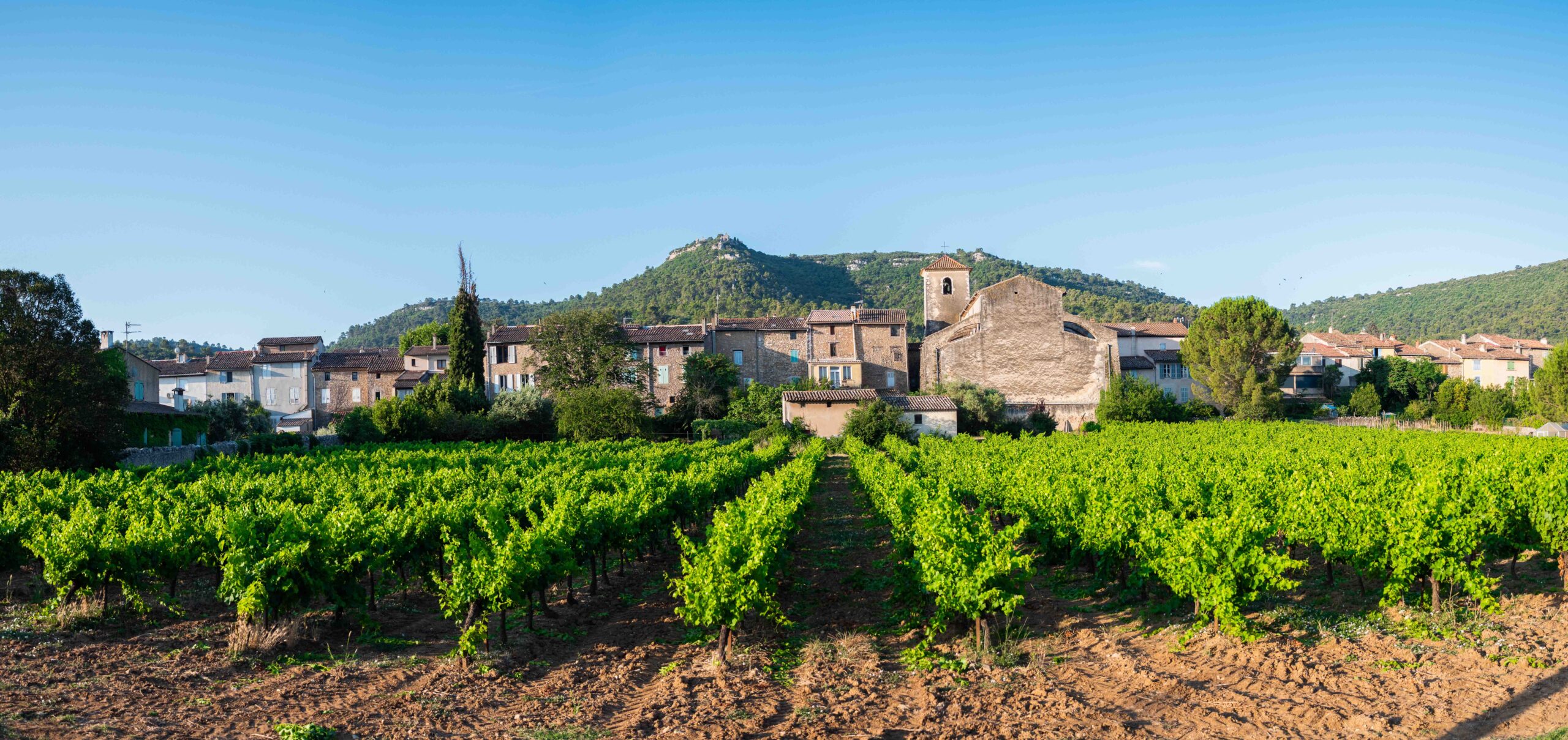 Les Vignerons de la Ste Baume