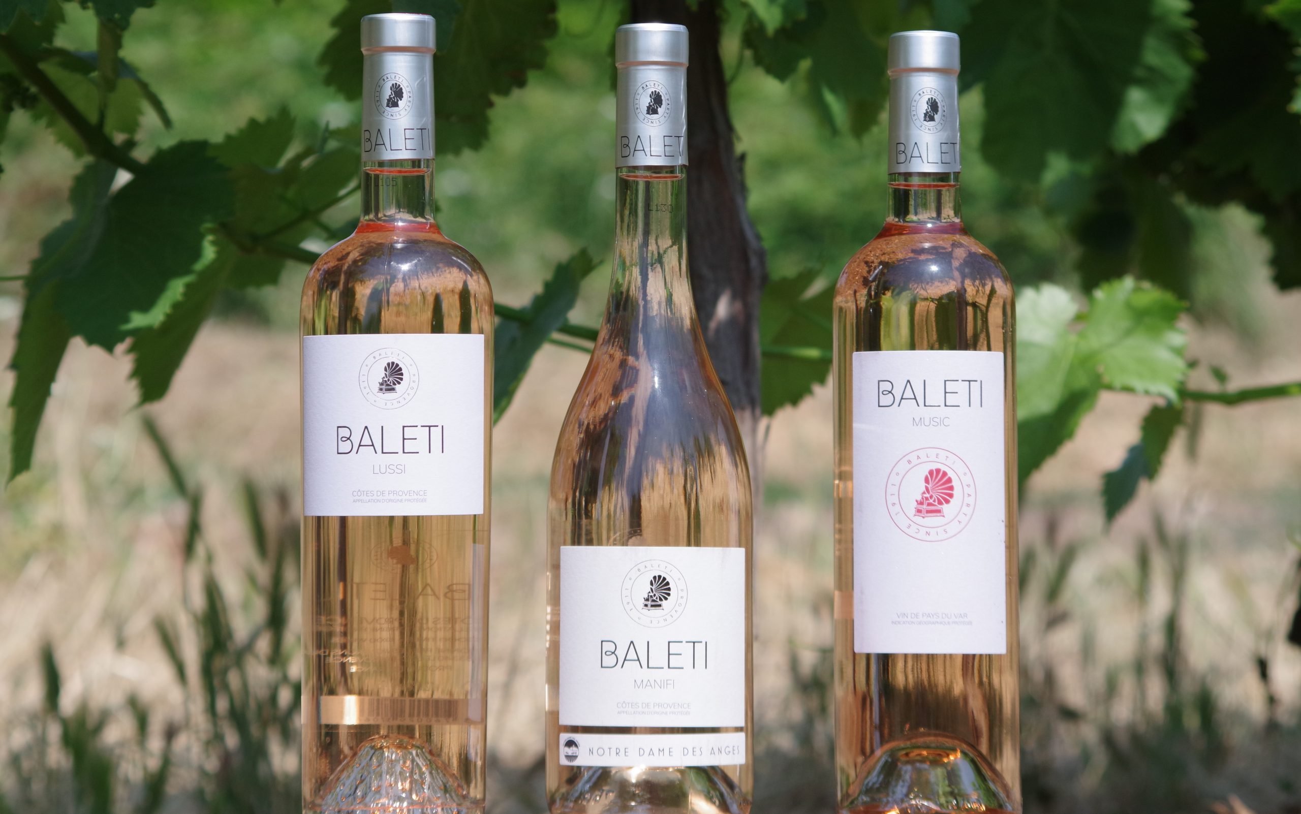 Les Vignerons du Luc