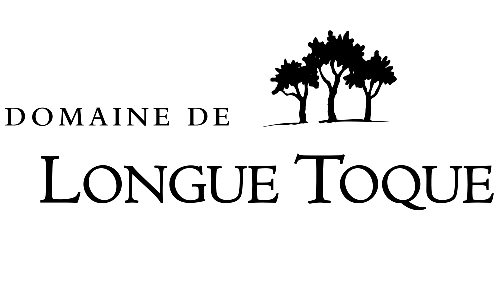 Sas Gmdf