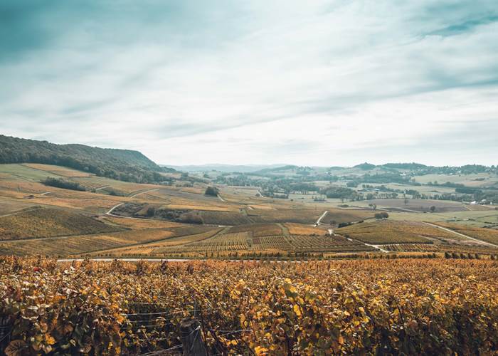 Domaine Baud - Génération 9