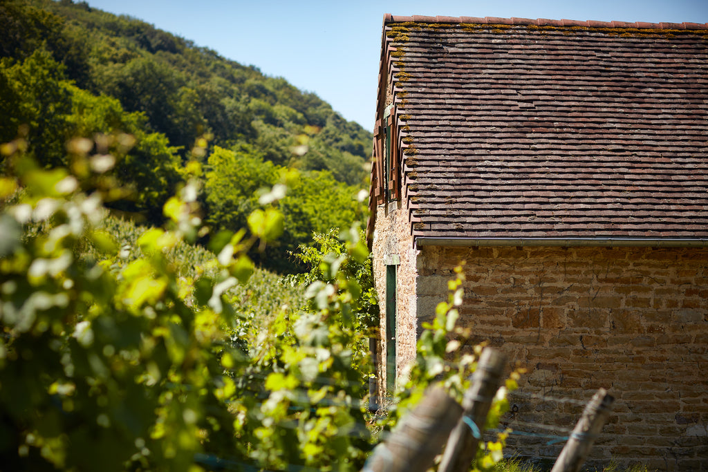 Domaine Rolet
