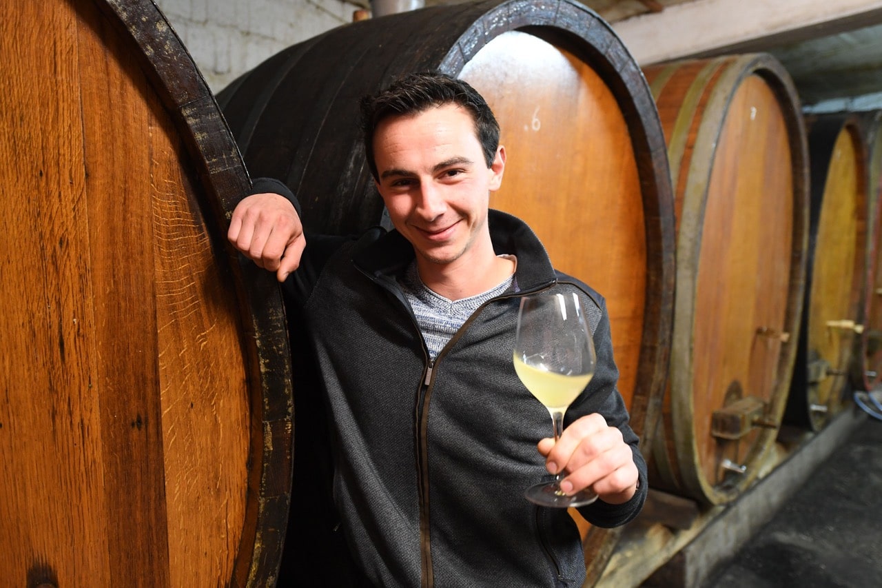 Vins Hertz Albert