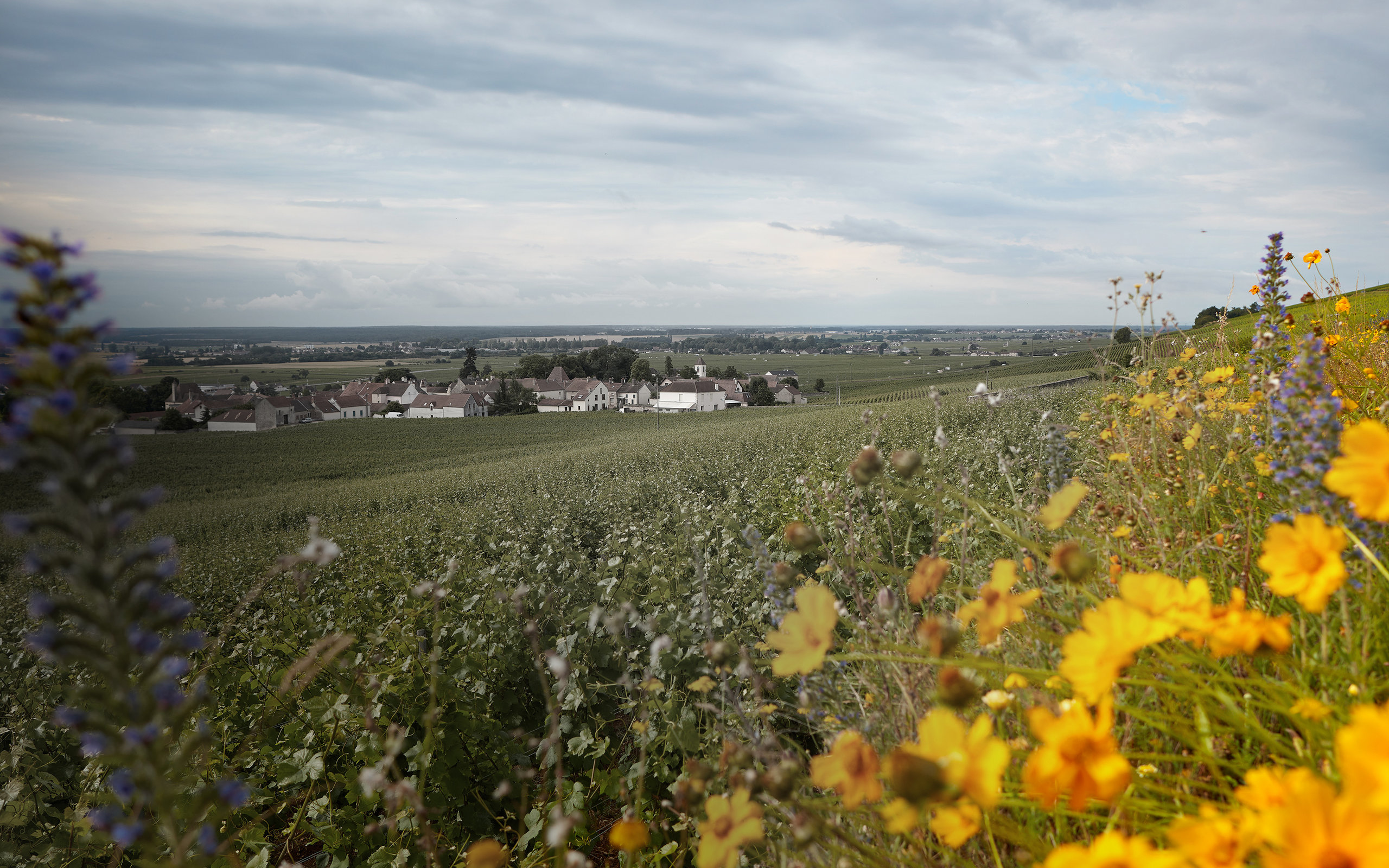 Domaine Michel Magnien