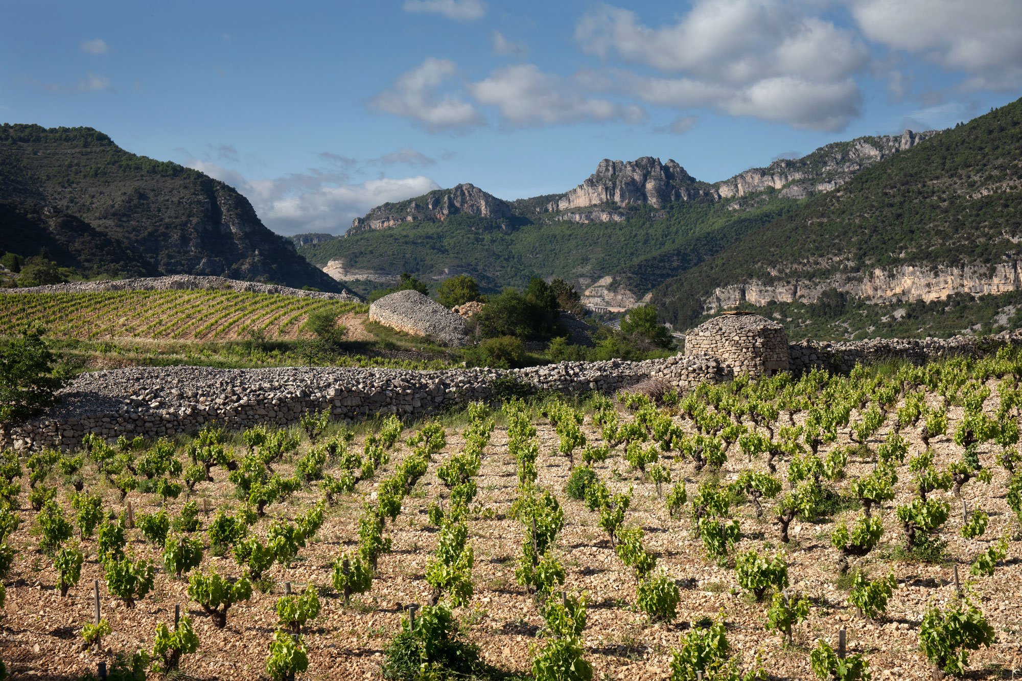 Domaine du Pas de l'Escalette