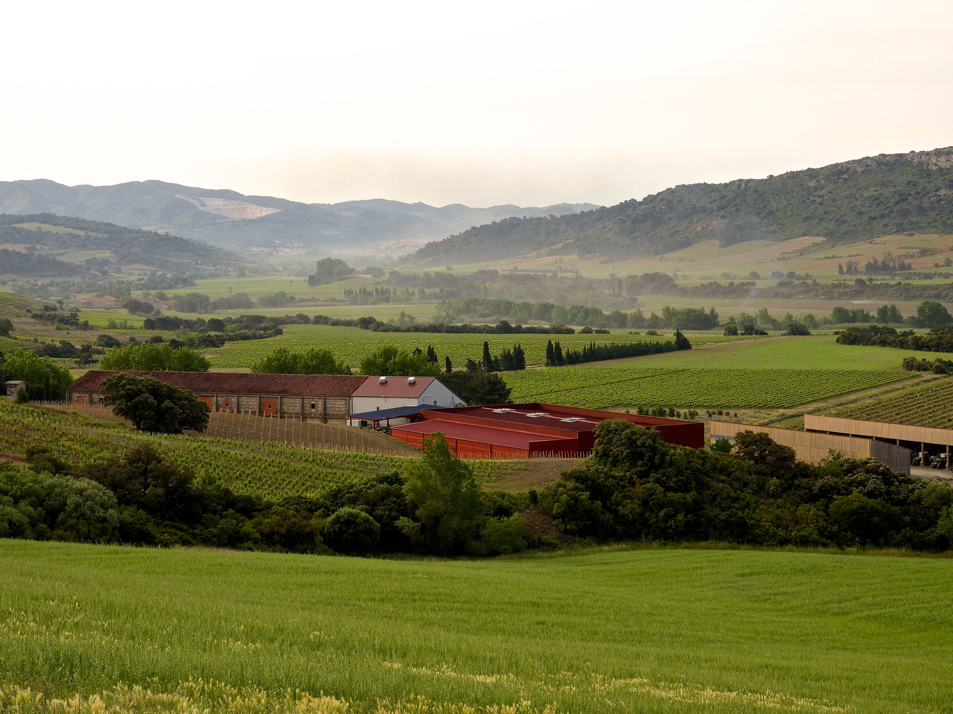 Domaine Mas Amiel
