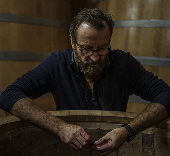 Domaine des Roches Neuves