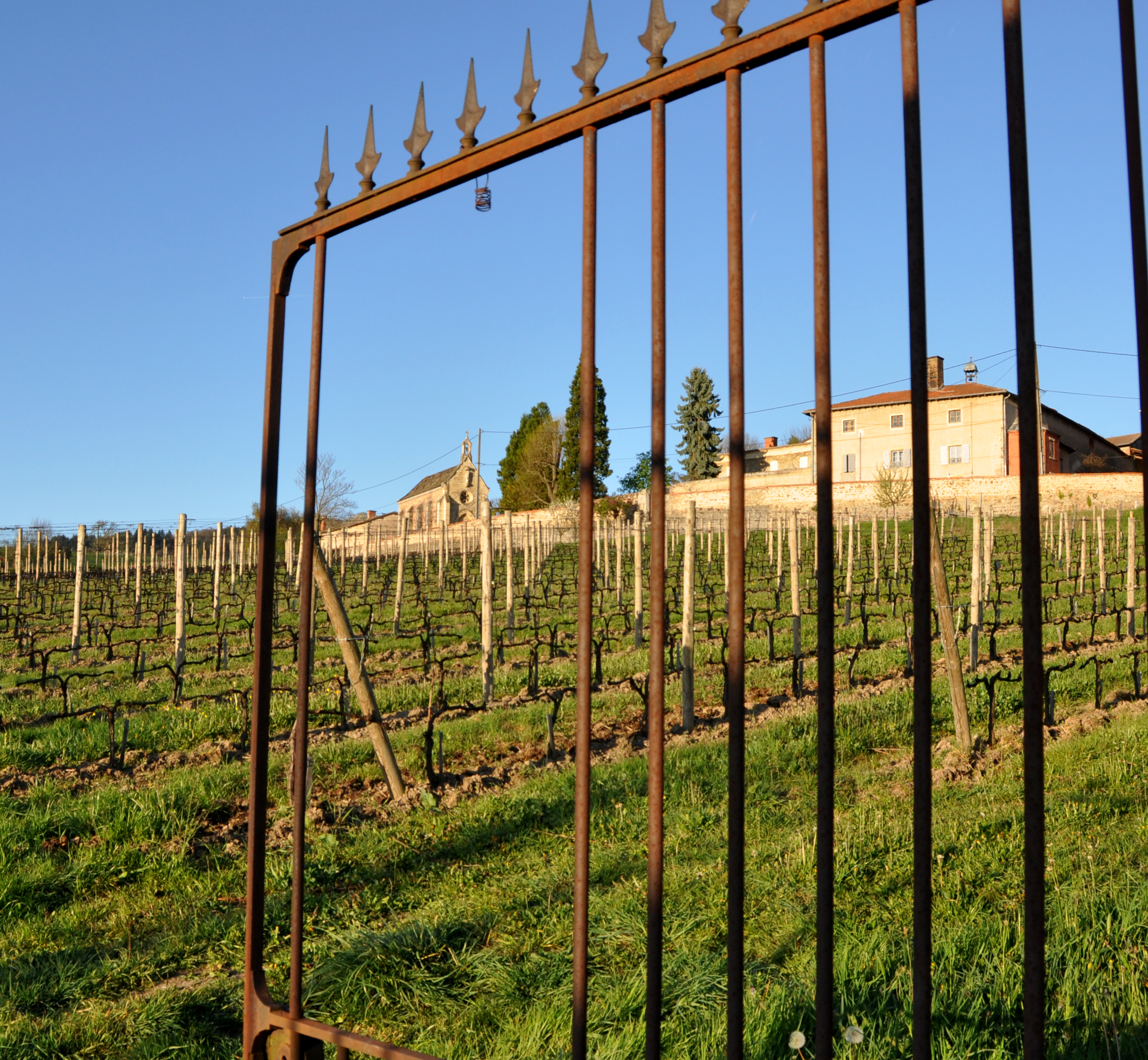 Domaine des Pothiers