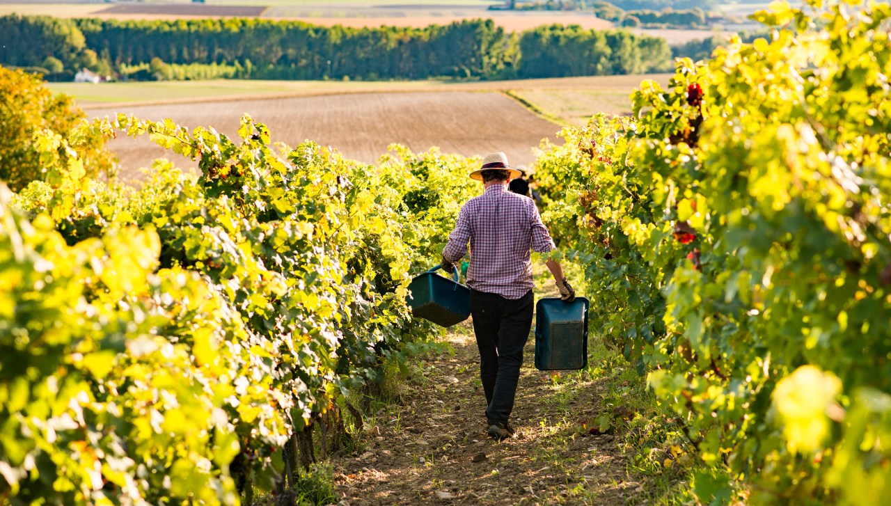 Domaine de la Garreliere