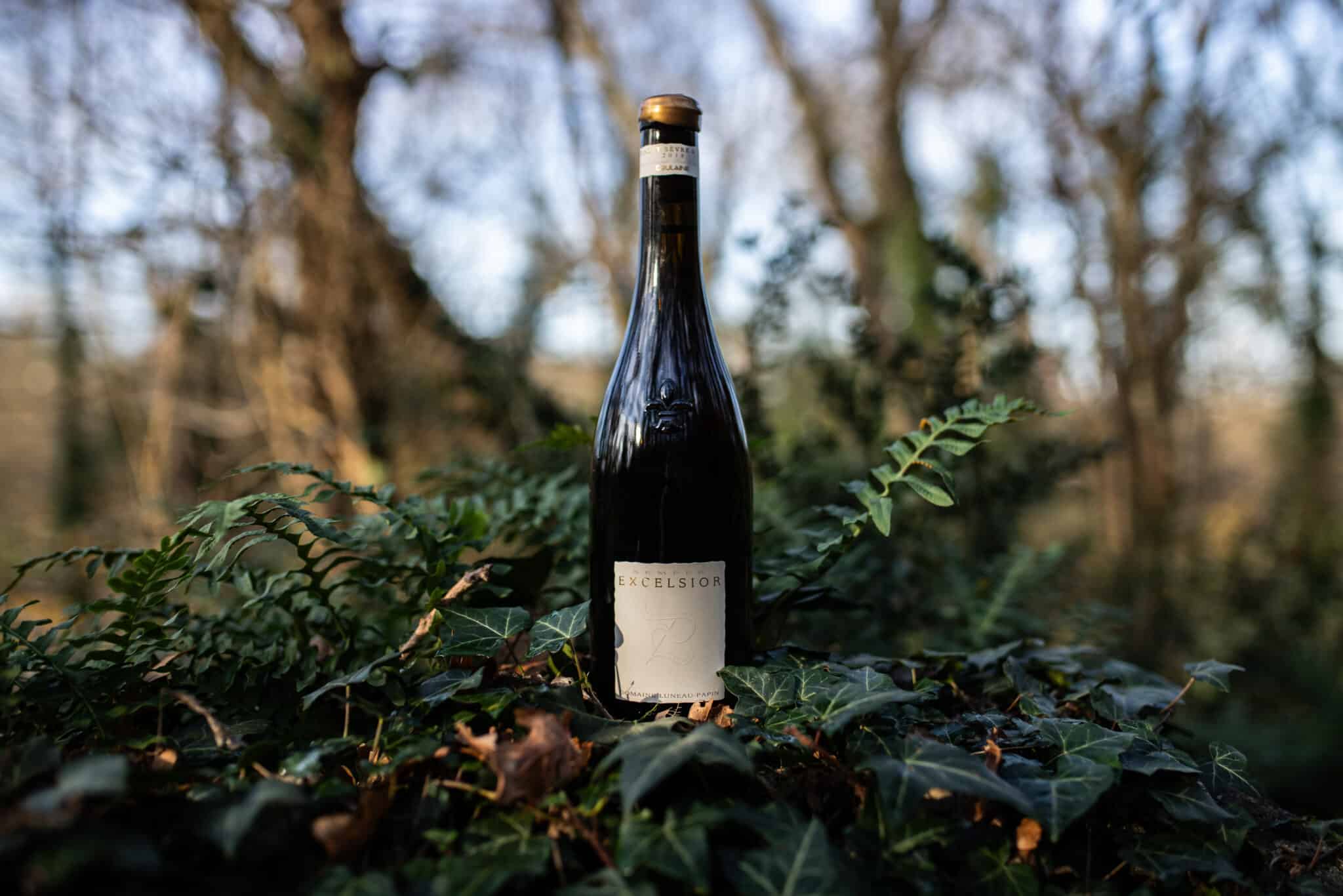 Domaine Luneau Papin