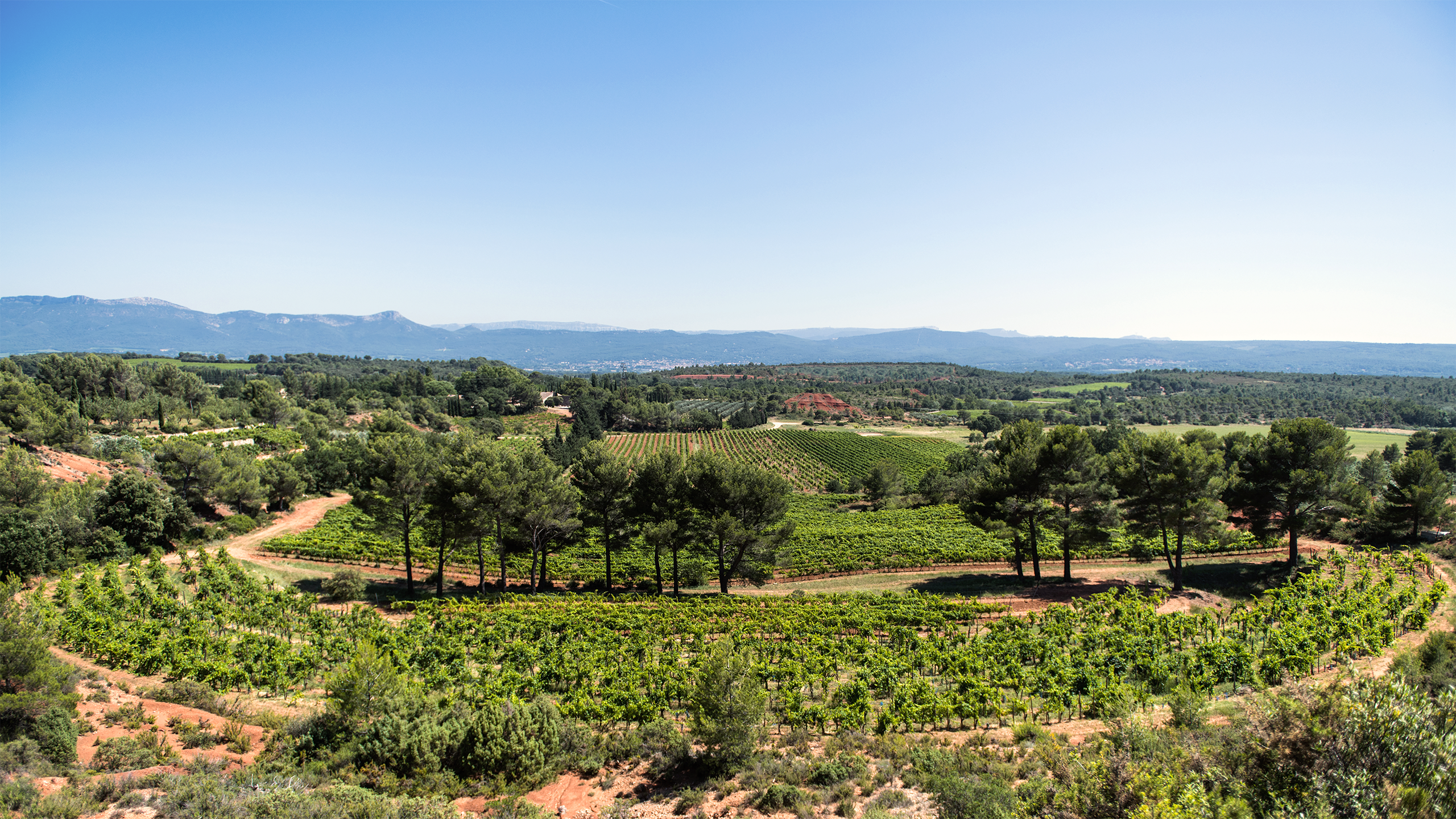 Domaine Richeaume