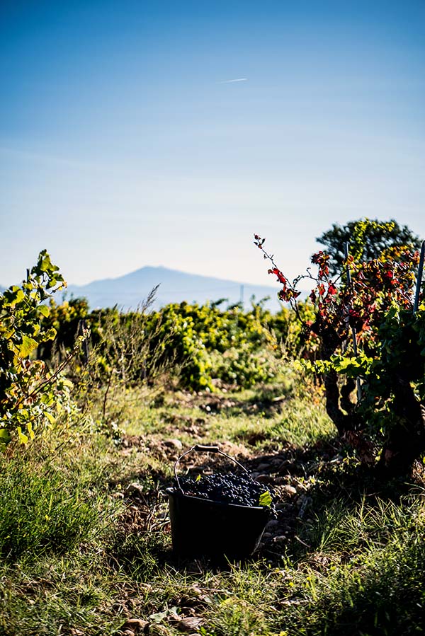 Domaine de Villeneuve