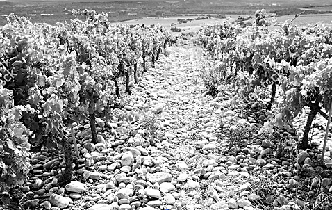 Domaine Duseigneur