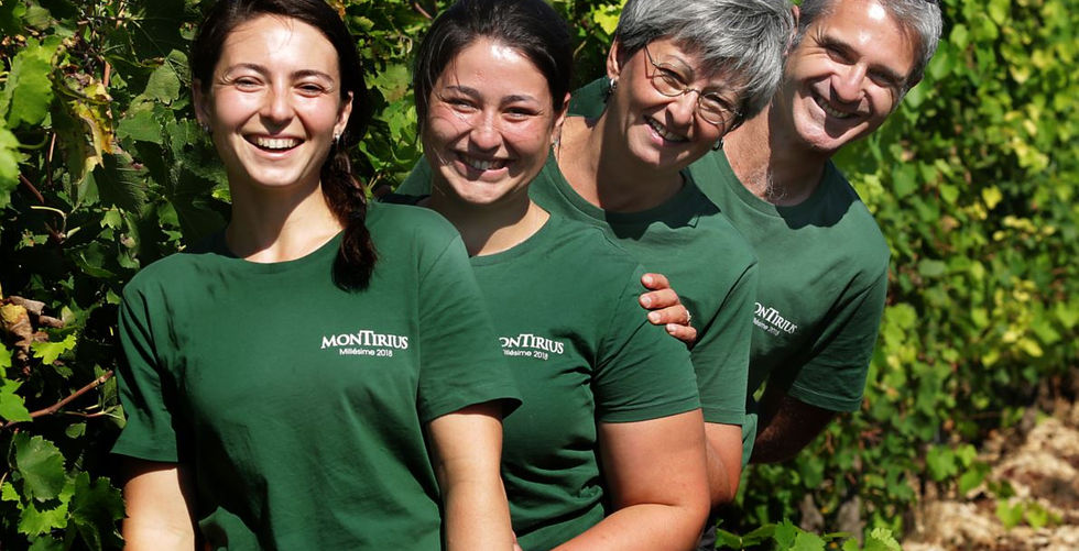 Domaine Montirius
