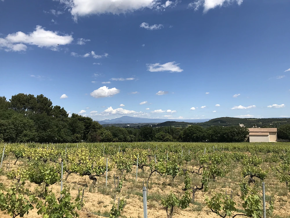 Domaine des Maravilhas