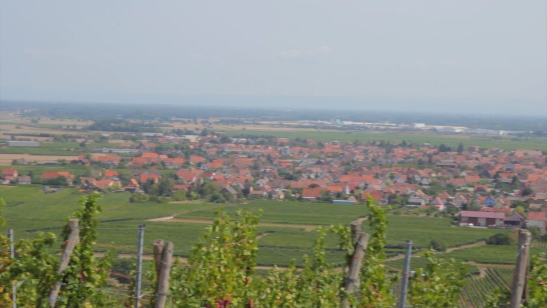 Alsace Frey Sohler