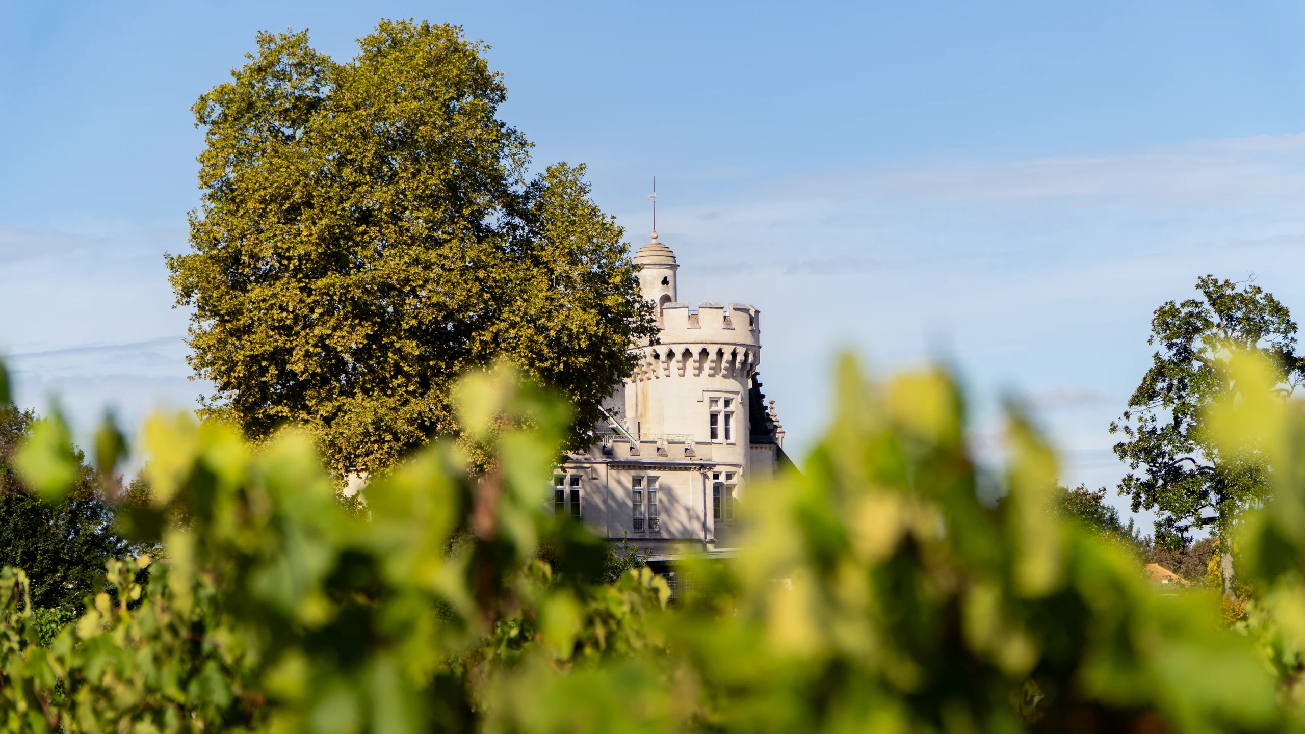 Bernard Magrez Grands Vignobles