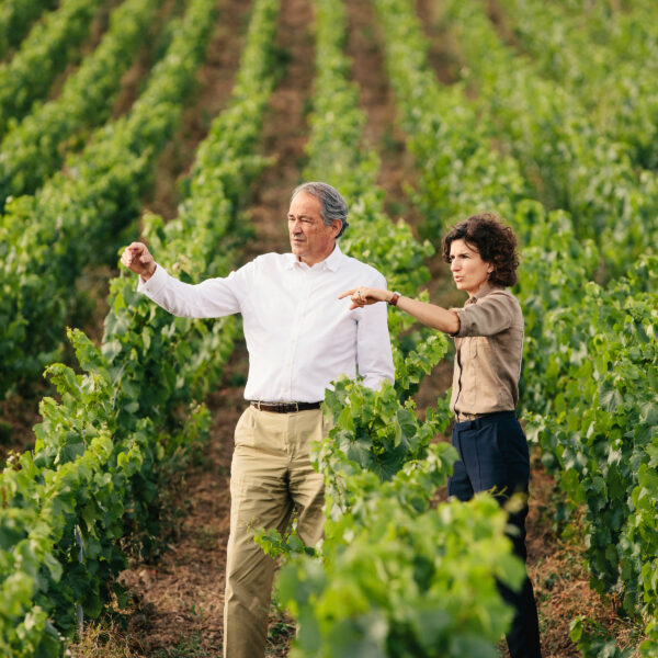 Champagne Bruno Paillard