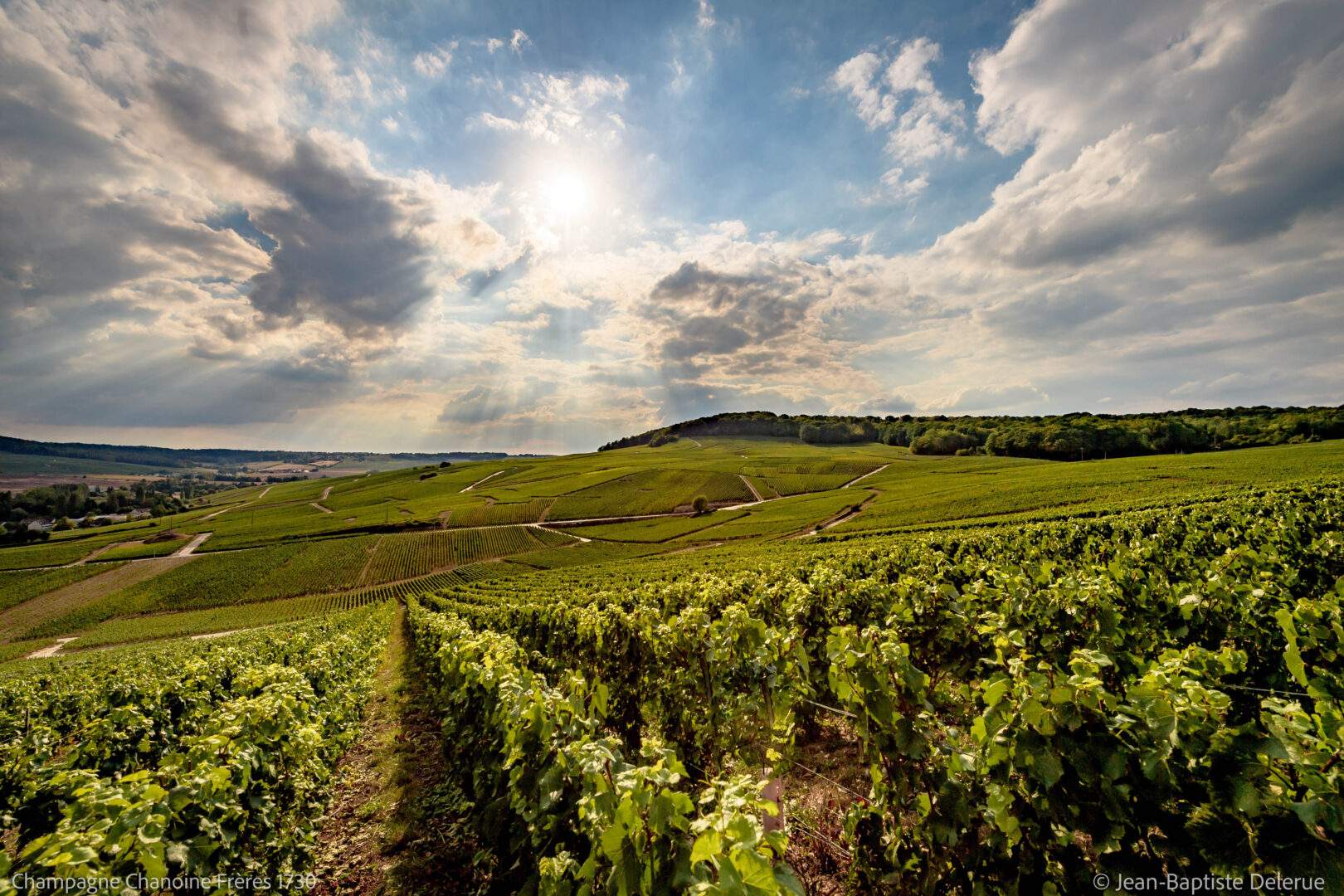 Champagne Tsarine
