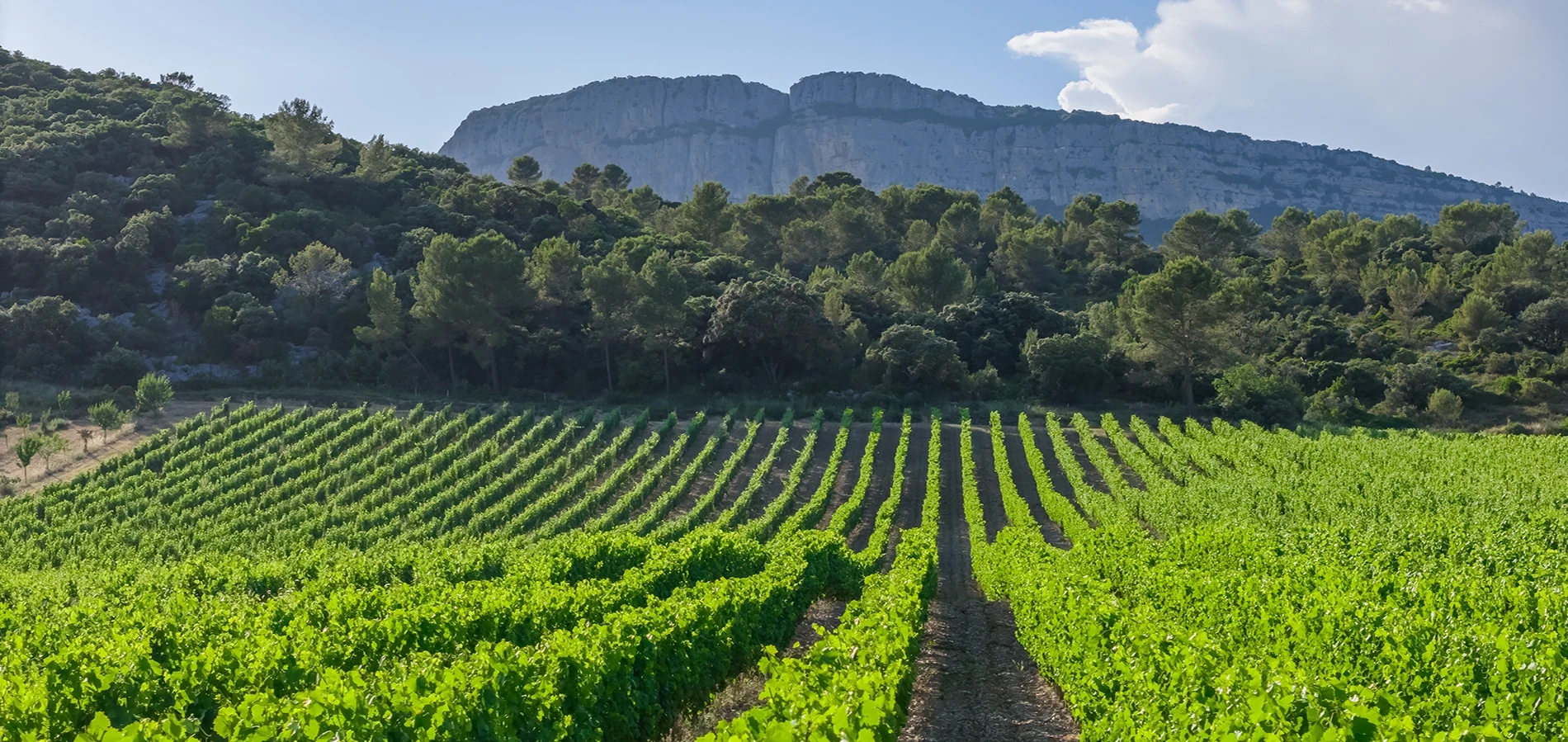 Chateau de Valflaunes