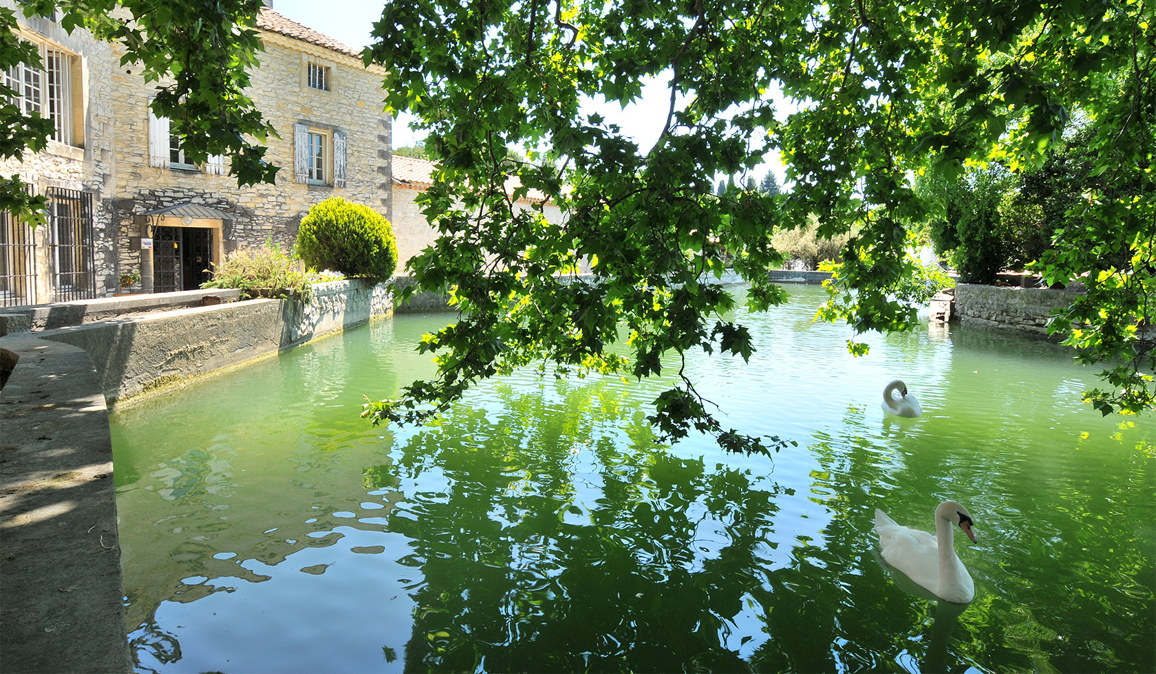 Château La Genestière