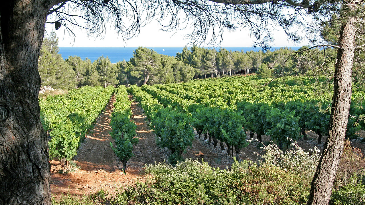 Chateau Rouquette sur Mer