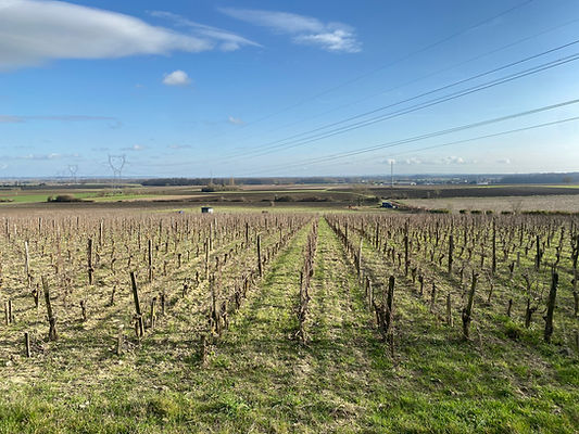 Clos de l'Ecotard