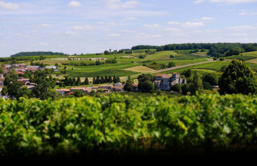 Cognac Paul Giraud