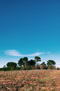 Domaine de Mont d'Hortes