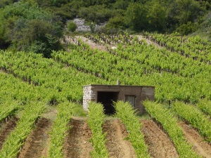 Domaine de Roquemale