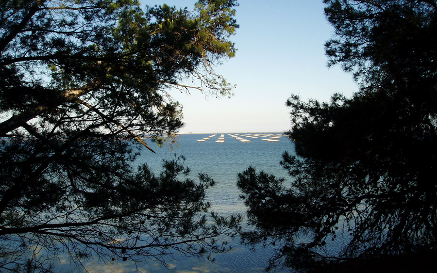 Domaine Félines Jourdan