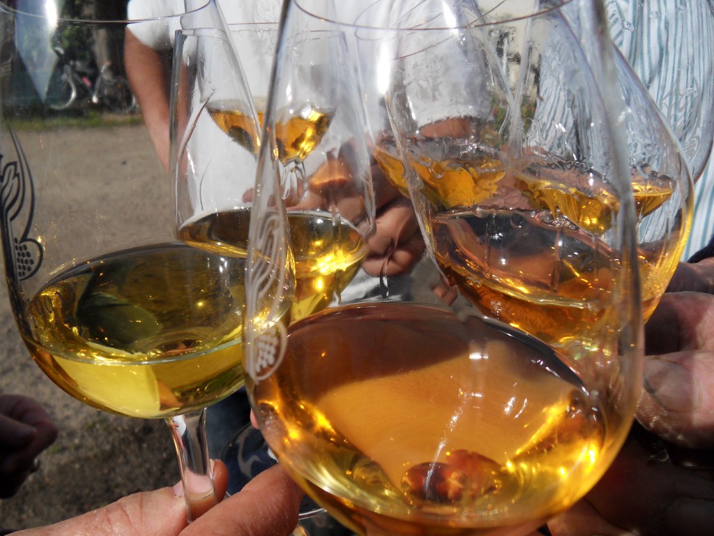 Domaine Francois et Julien Pinon