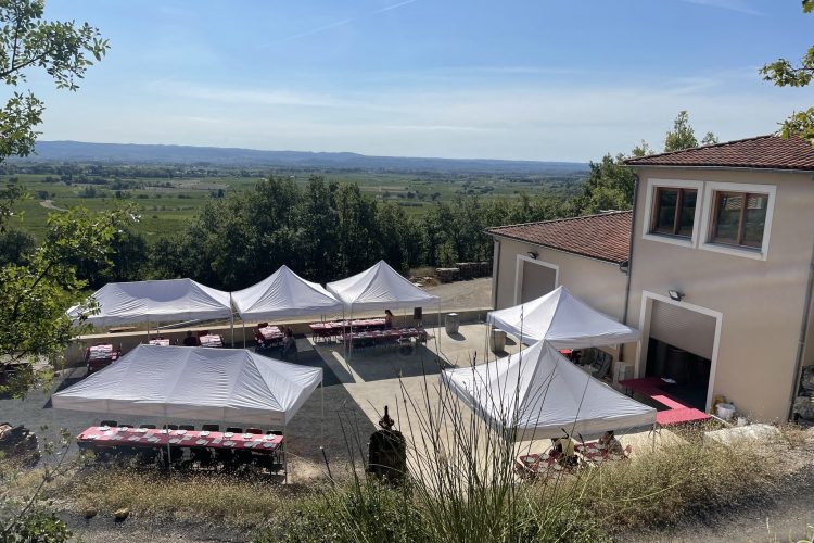 Domaine Virgile Joly