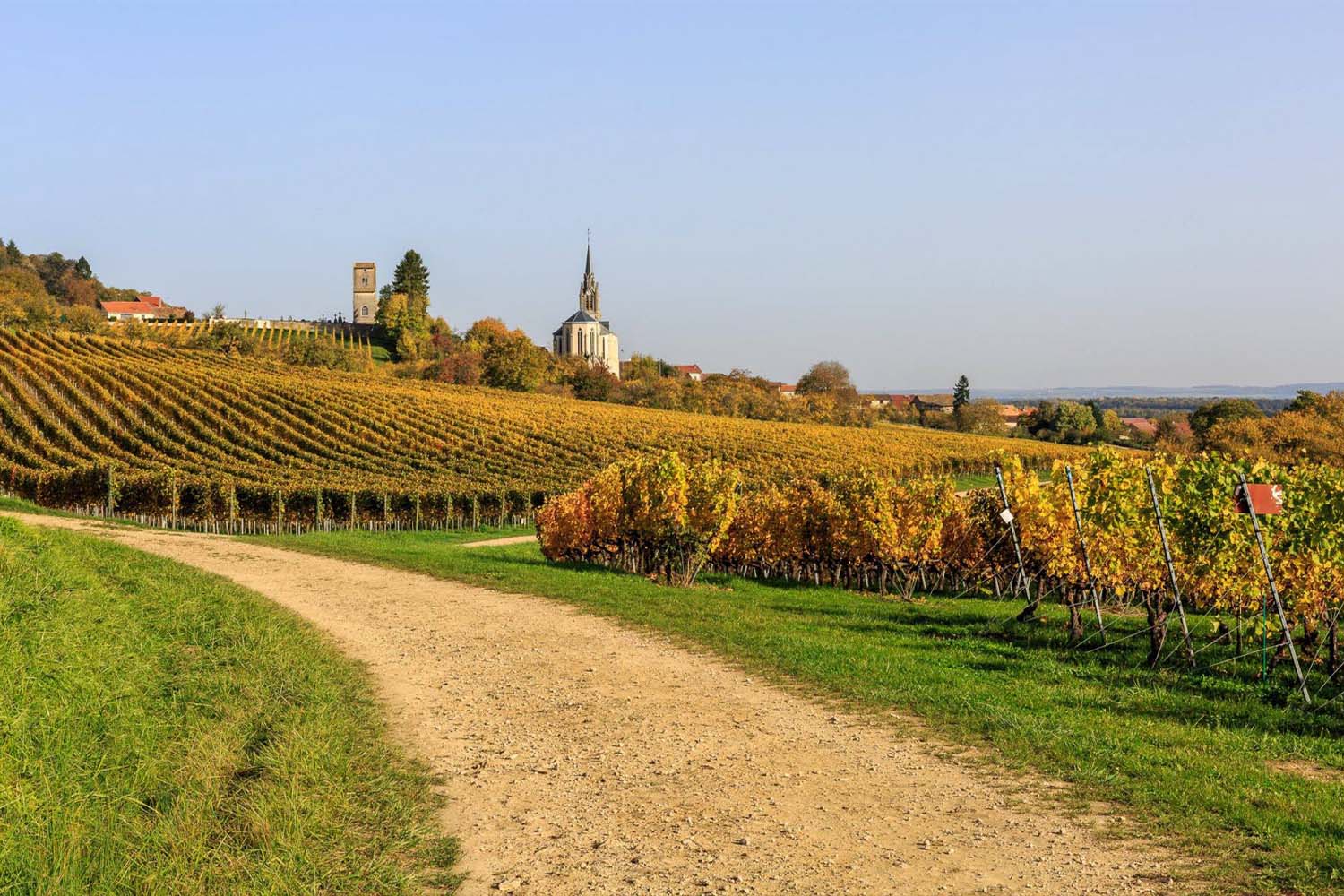Lelievre - Creative Producers in Lorraine
