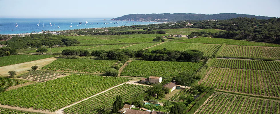 Maitres Vignerons de Saint-Tropez