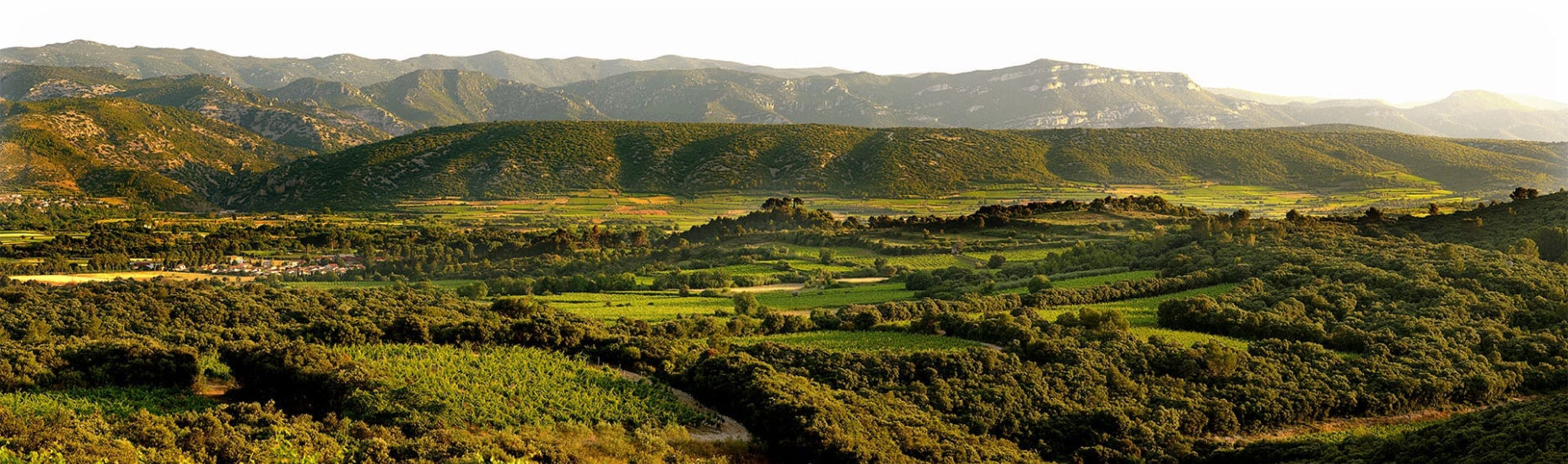 Mas de Daumas Gassac