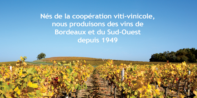 Producta Vignobles