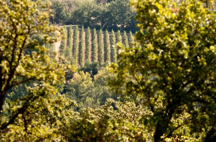 Terre des Dames