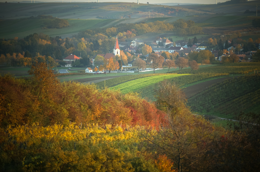 Weinrieder
