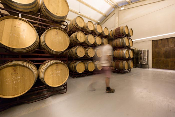 Bodegas Pago de Larrea