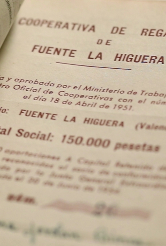 La Bodega - Venta de Vinos