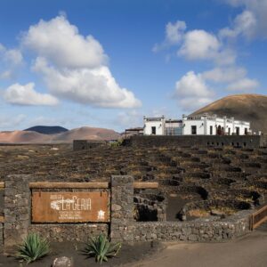 Bodega La Geria