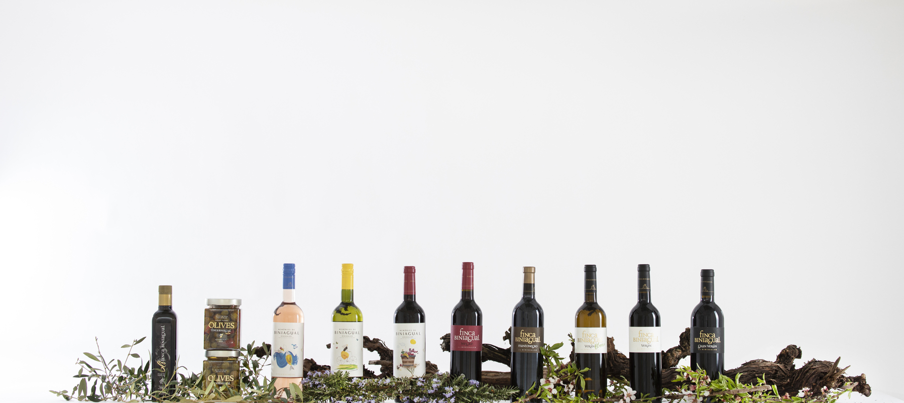 Bodega Biniagual