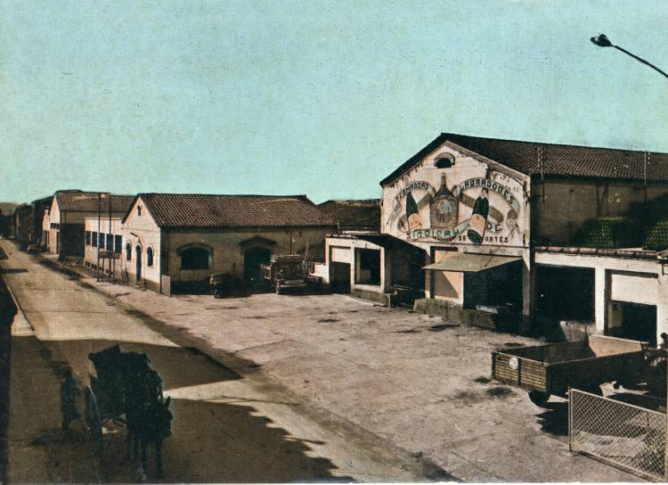 Celler Cooperatiu d'Artés (ARTIUM)
