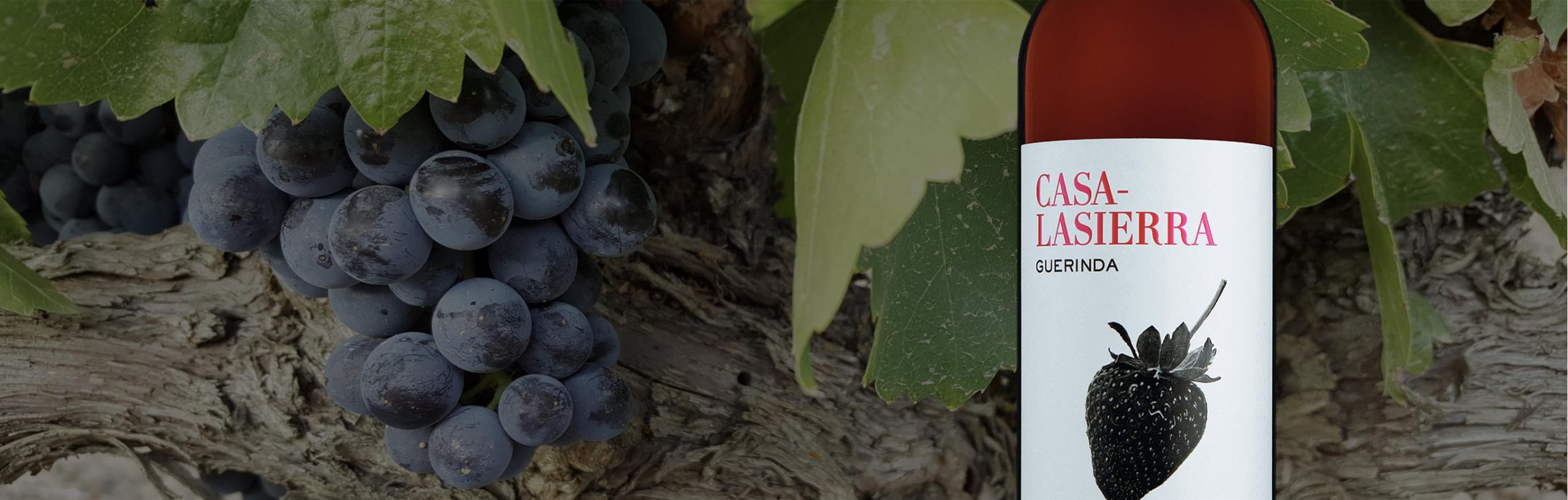 Bodegas Maximo Abete